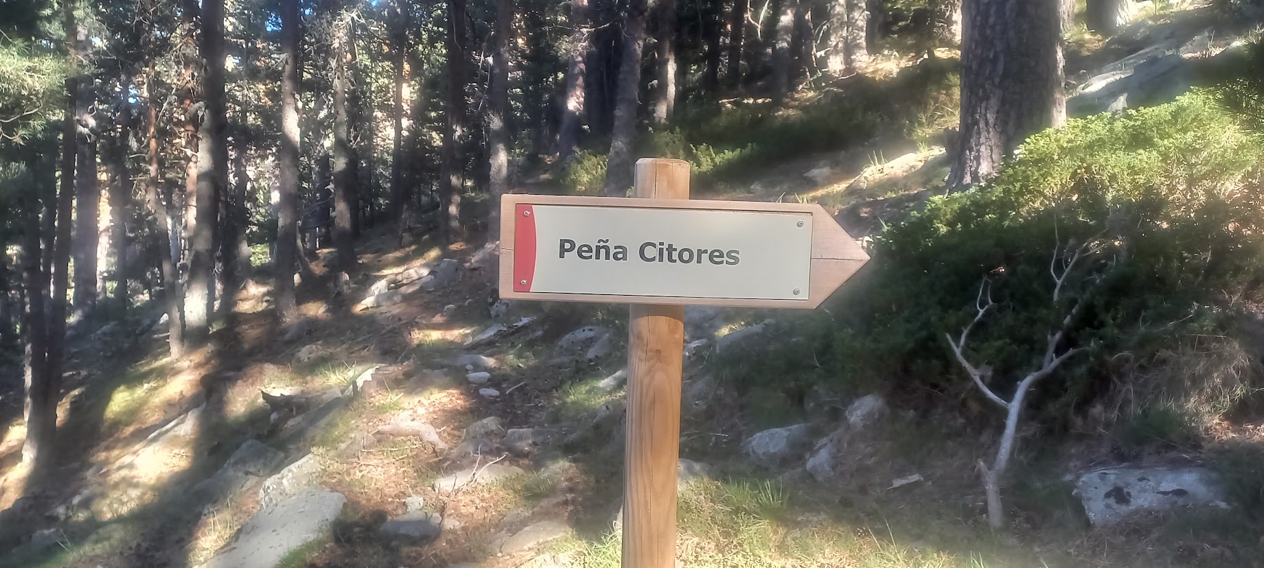 El topónimo Citores se repite en otros lugares, a menudo montañosos, como es natural. Aquí Peña Citores, en el Real Sitio  de San Ildefonso (Segovia). Foto del autor.