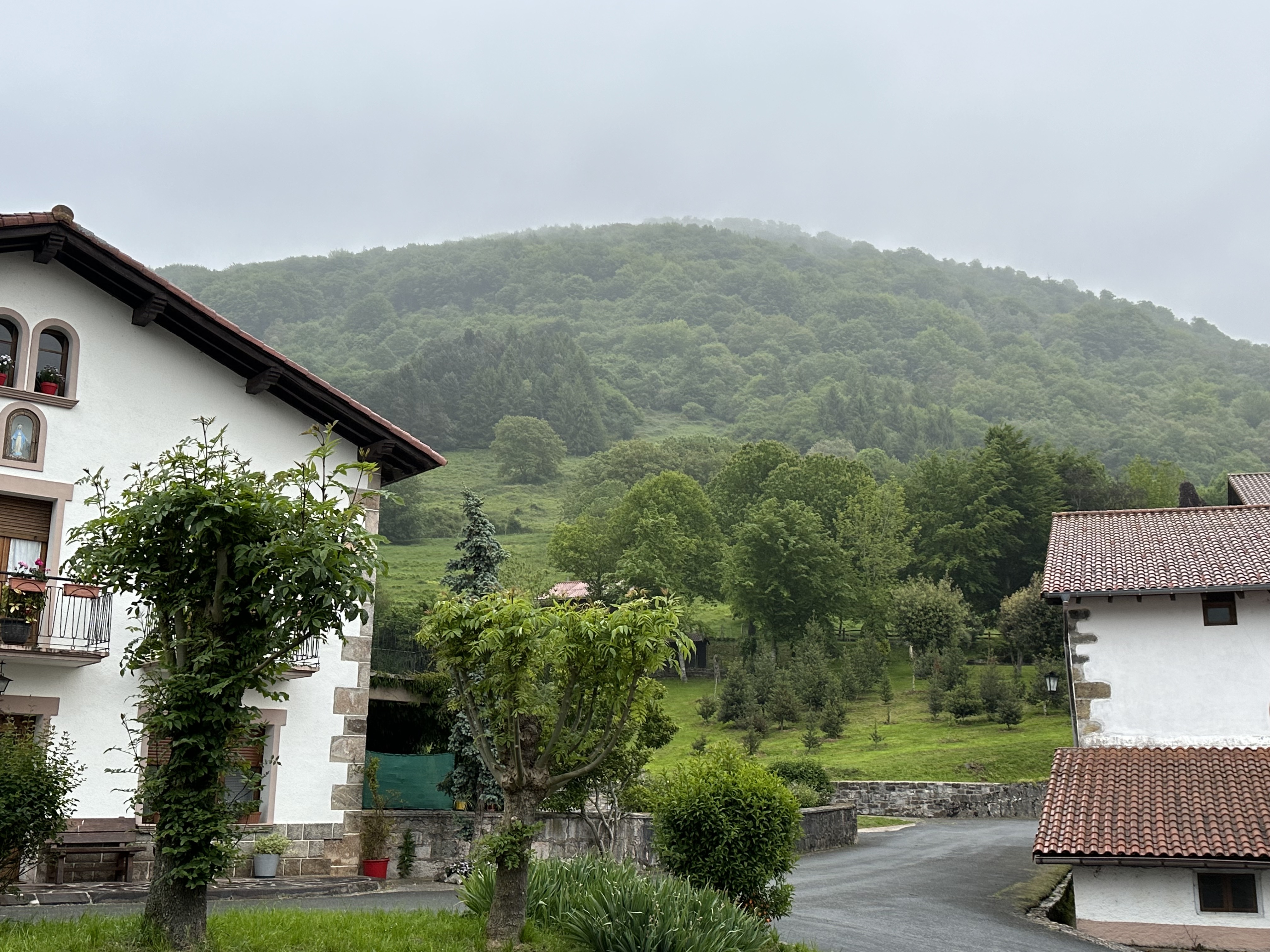 Basaburuko Beruete herriko etxeak eta oihana, zirimiripean. P. Salaberriren argazkia.