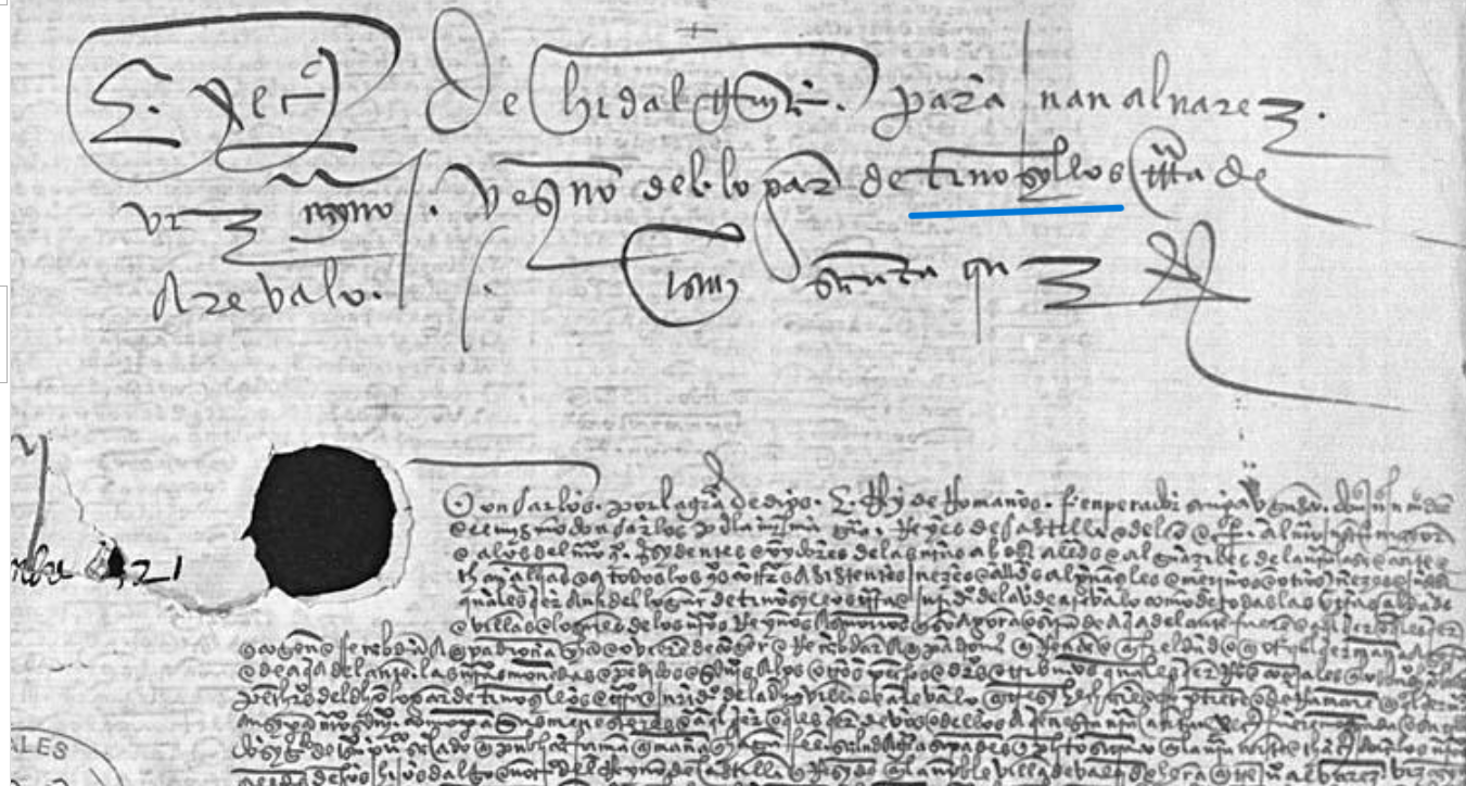 "Ex(ecutori)a de hidalguia para Juan Alvarez Vizcaino vezino del logar de Tiñosillos...", Ejecutoria del pleito litigado por Juan Álvarez Vizcaíno, vecino de Tiñosillos, 1521, ARCHV, PARES.