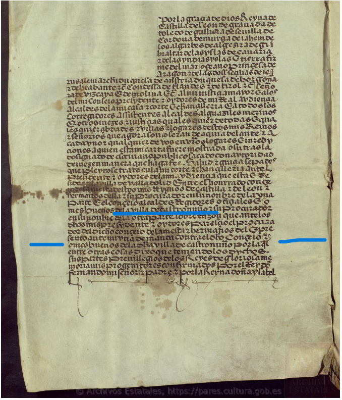 "...omes buenos de la d(ic)ha villa de Castronuño...", Castronuño. Ejecutoria sobre el paso de los ganados, 1511, AHN, PARES.