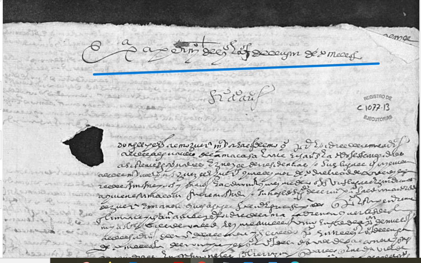 "Ex(ecutori)a a pedim(ien)to del con(ce)jo de el lugar de Tomelloso....", Ejecutoria del pleito litigado por el concejo de Tomelloso (Ciudad Real), con el concejo de Balconete (Guadalajara), 1565, ARCHV, PARES.