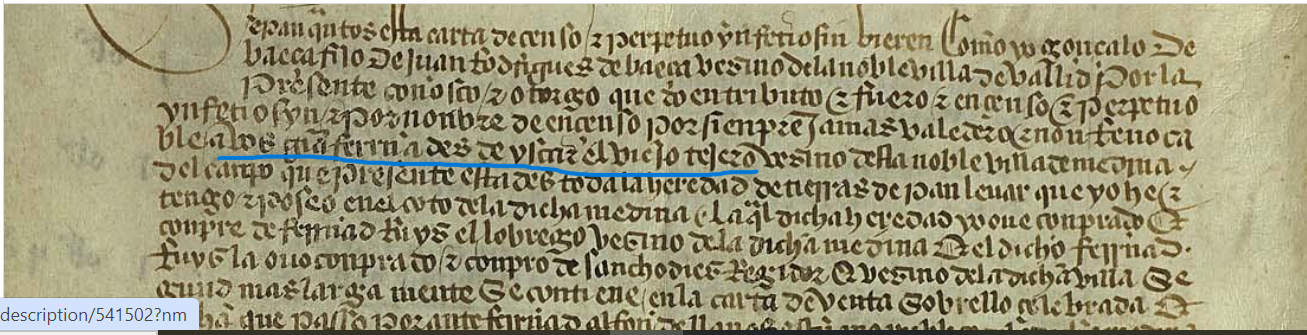 "...a vos G(arc)ia Ferna(n)des de Yscar el viejo tejero...", Censo enfitéutico por el que Gonzalo de Baeza, vecino de Valladolid, da en censo a García Ferrández de Íscar, vecino de Medina del Campo (Valladolid), unas tierras, 1480, ARCHV, PARES.