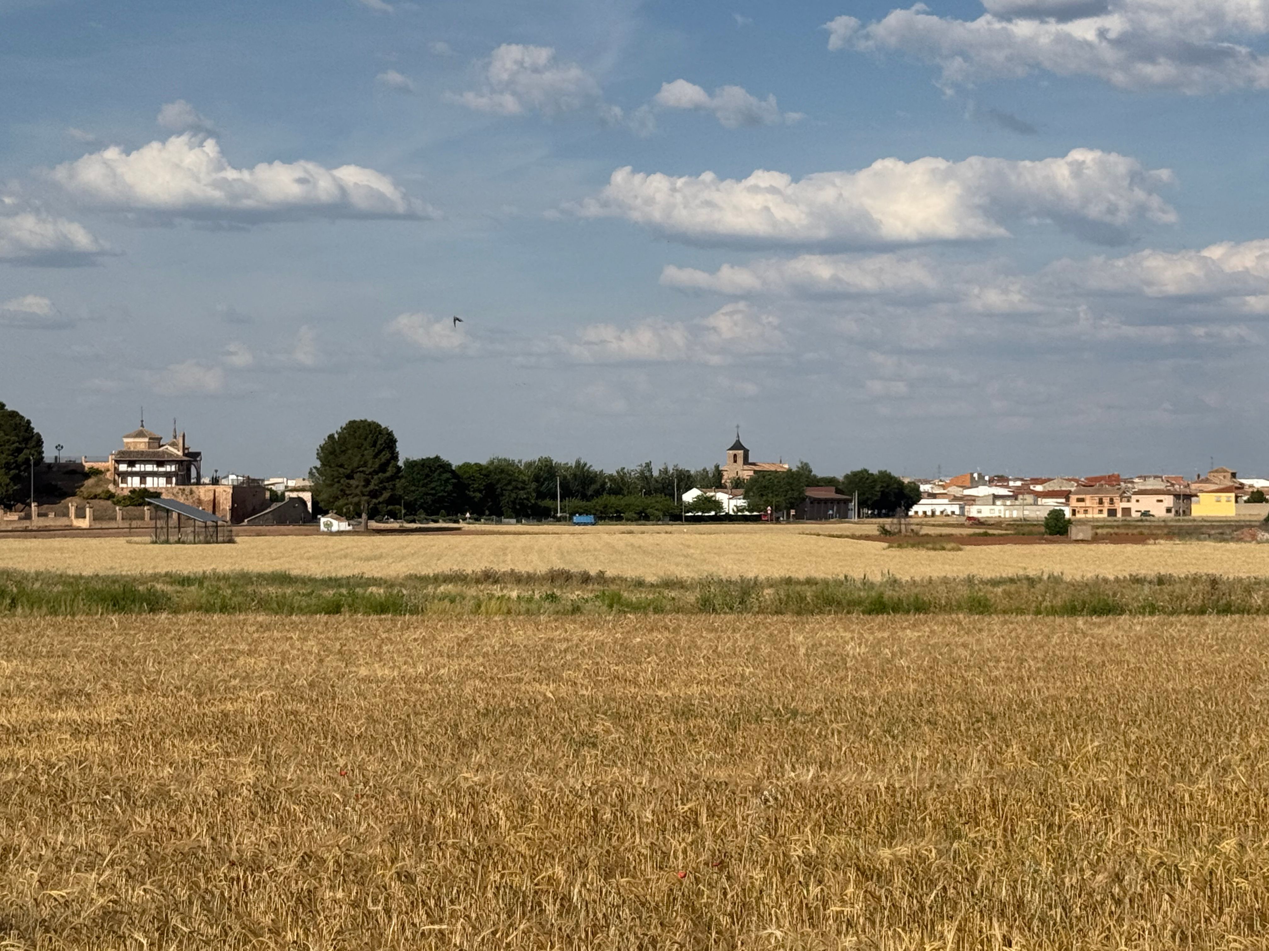 Membrilla desde el oeste con la ermita sobre la pequeña mambla a la izquierda (foto de Jairo Javier García Sánchez; mayo de 2025)