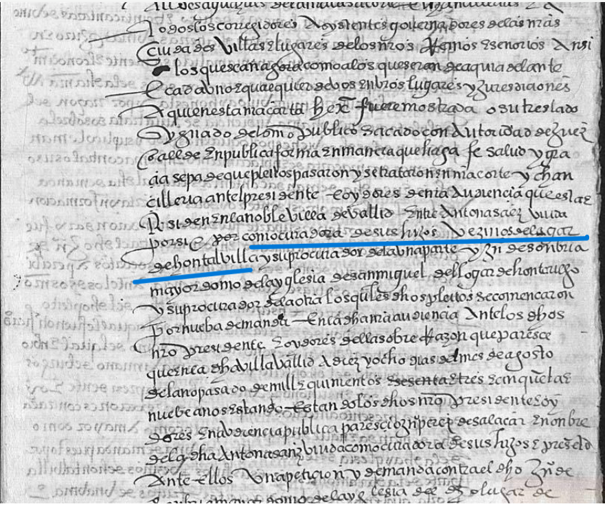 "...como curadora de sus hijos vezinos de lugar de Hontalvilla....", Ejecutoria del pleito litigado por Antonia Saéz, viuda, por sí y como curadora de sus hijos, vecinos de Hontalbilla, 1563, ARCHV, PARES.