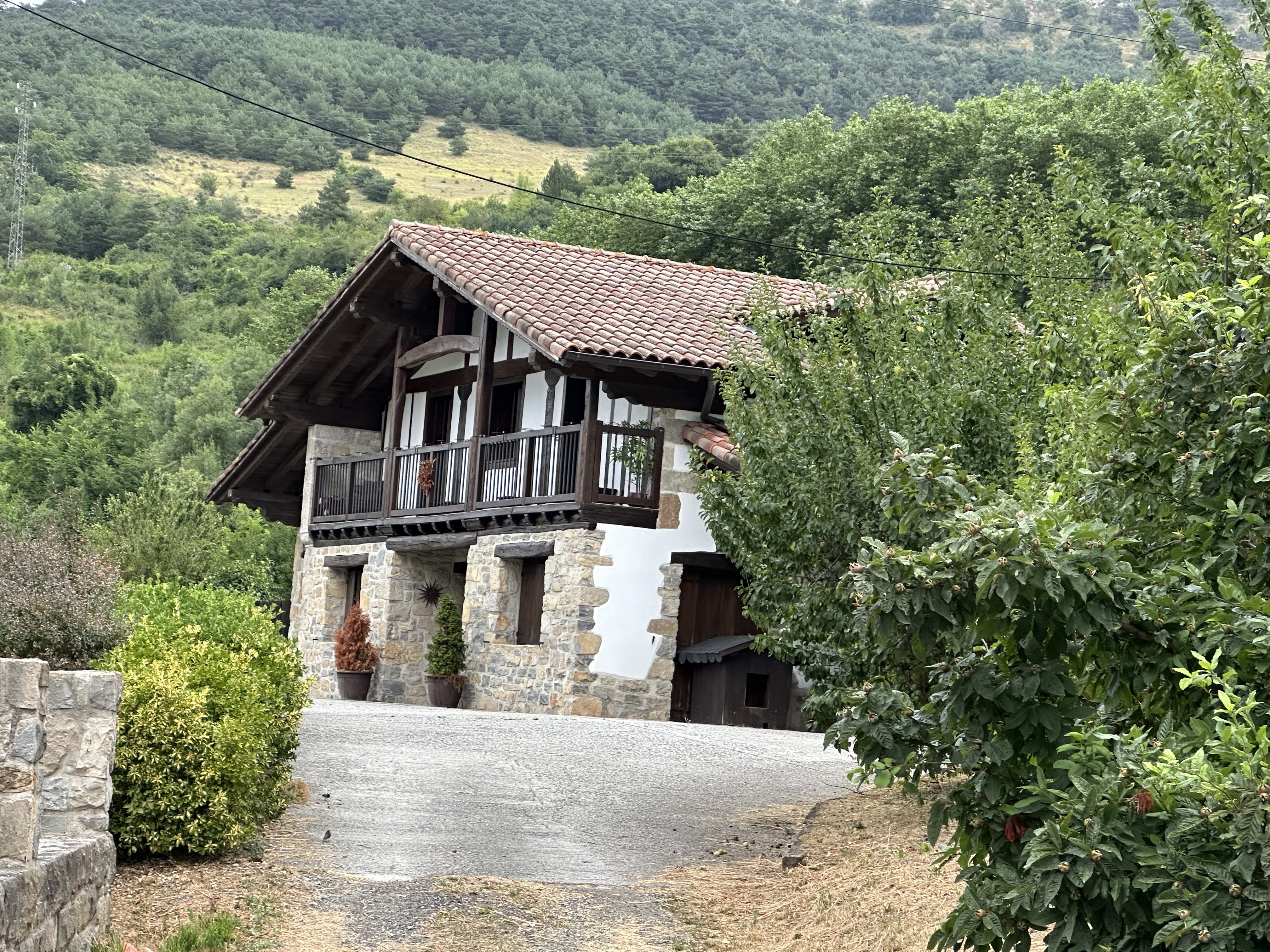 Olabeko etxea, eta gibelean oihana. Patxi Salaberriren argazkia.