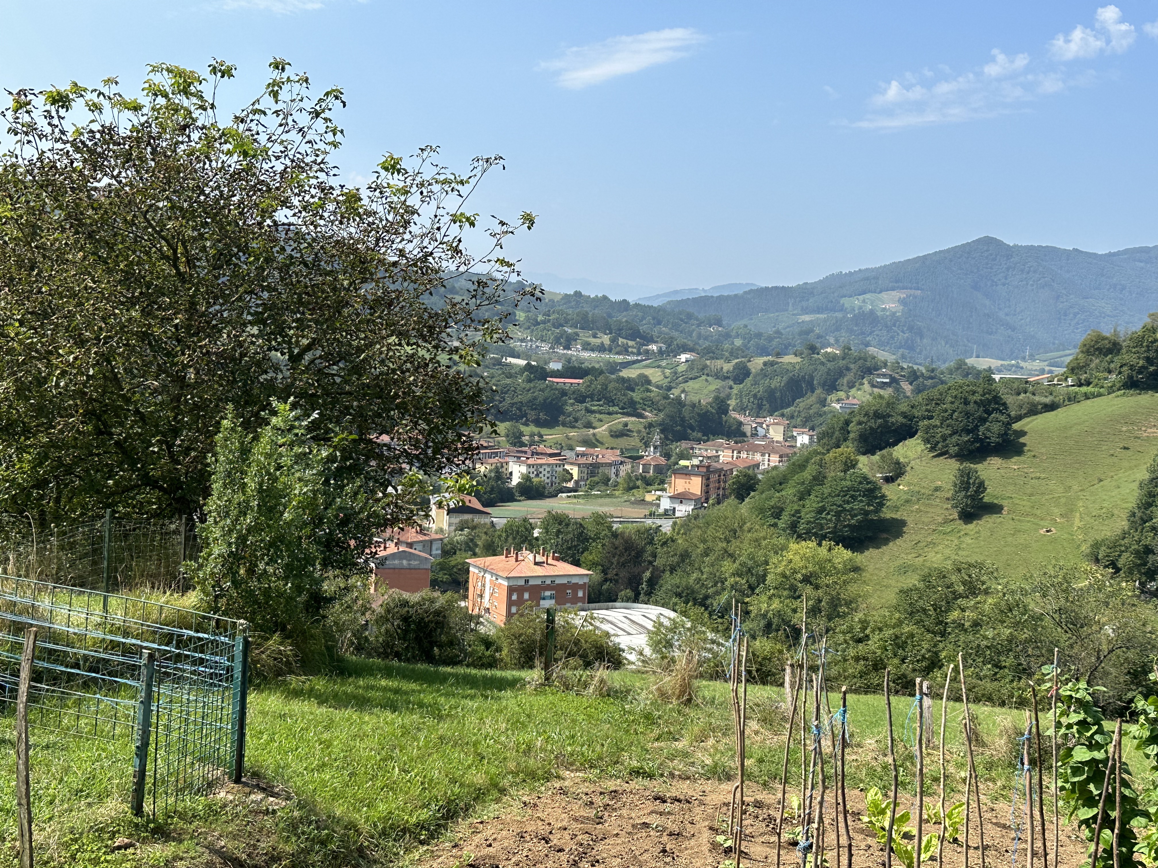 Ibarra, Belauntzako bidetik. Patxi Salaberriren argazkia.