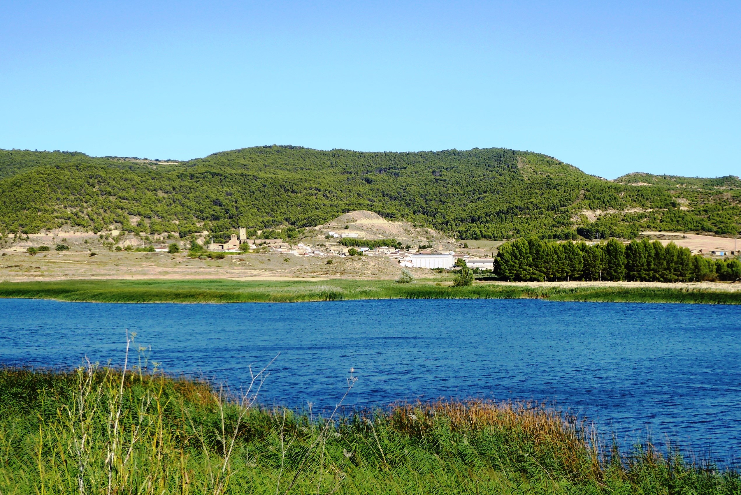 En primer término, la estanca de Castiliscar, con el característico bosquete de lisca en su orilla; al fondo, el núcleo urbano y la sierra de Santa Águeda (Foto: Ignacio Bueno Olóriz).