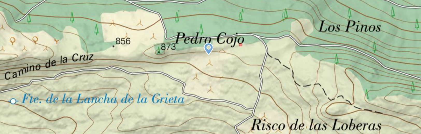 Pedro Cojo (Cebreros, Ávila). Detalle de captura de pantalla en IBERPIX, IGN (19.06.2025)