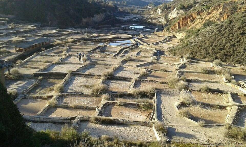 Salinas de Peralta de la Sal (fuente: https://www.santiagonoguero.es/una-visita-a-peralta-de-la-sal/).