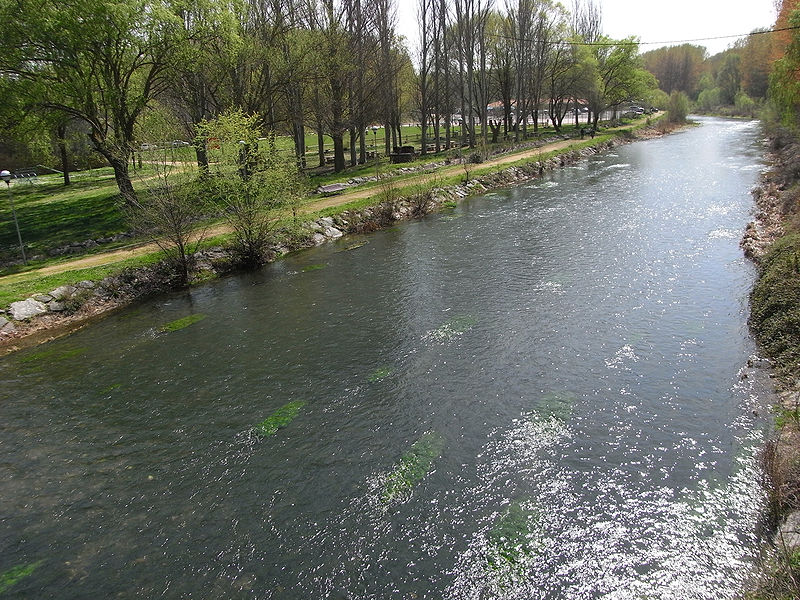 El río Tirón desde el puente de piedra de Anguciana. Tomada de la descripción del río Tirón, que hace la Wikipedia.