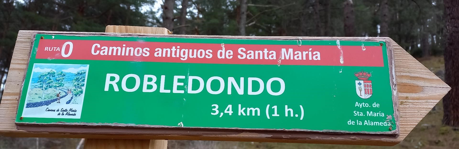 Robledondo está, como se ha señalado, en el municipio de Santa María de la Alameda. Dos fitónimos se superponen en este municipio, algo frecuente. Foto del autor. Marzo 2024.