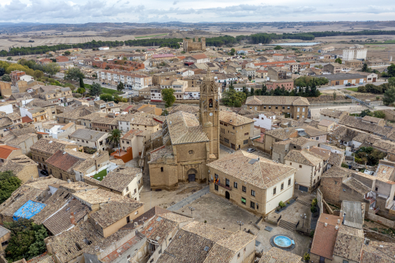 Vista aérea de Sádaba (Fuente:  Getty Images/iStockphoto).