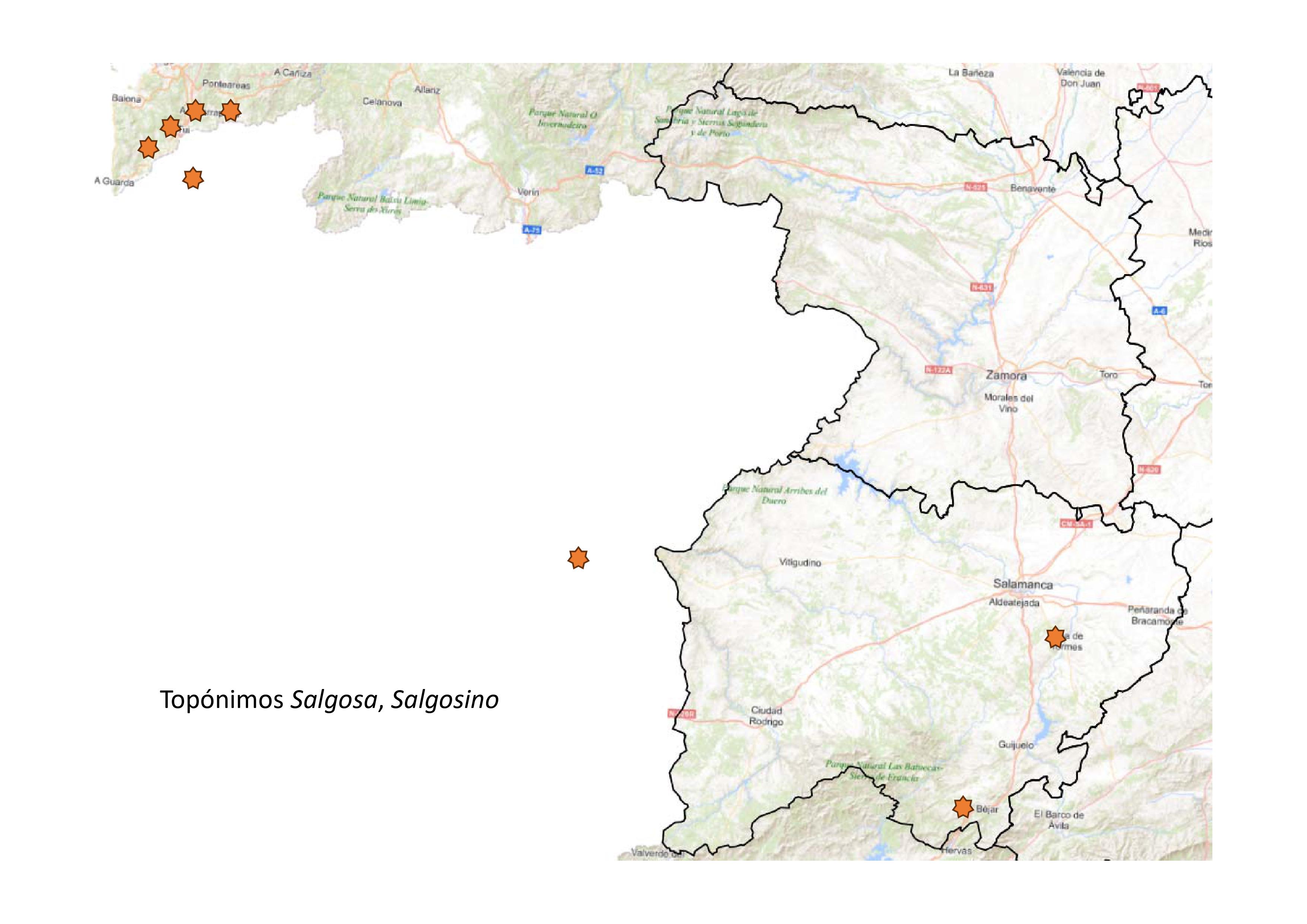 Distribución geográfica de los topónimos del tipo Salgosa, -o.