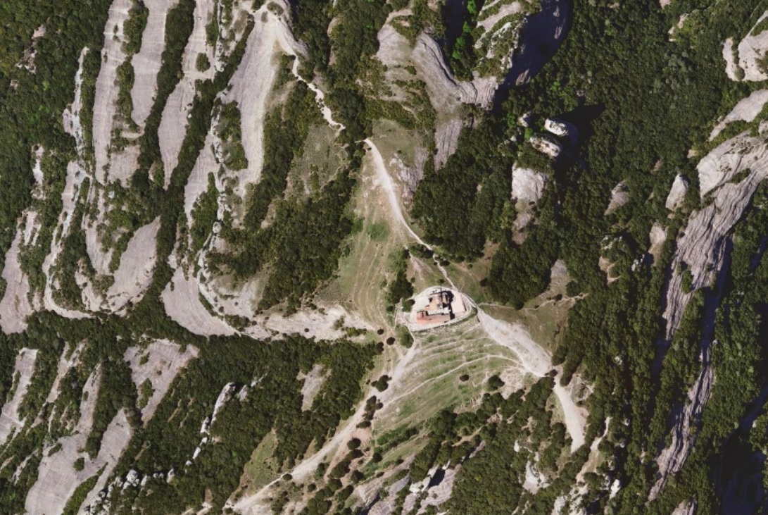 La Mola amb el monestir de Sant Llorenç del Munt al cim. Observeu la vegetació que cobreix la roca.