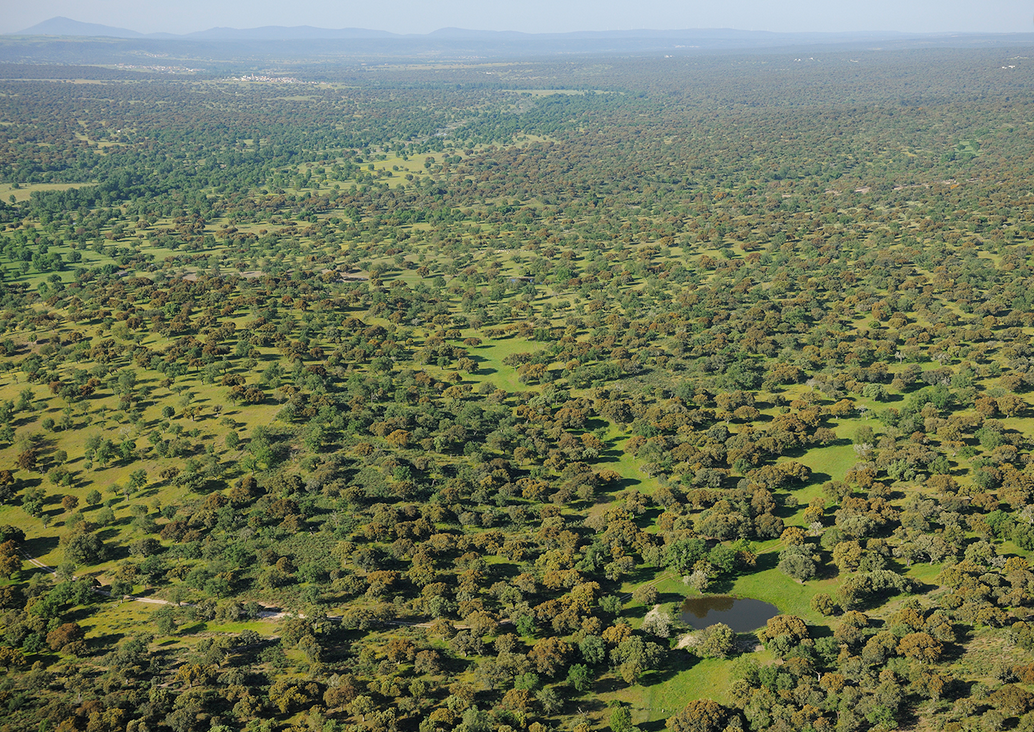 Reserva biológica Campanarios de Azaba <https://reservabiologicacampanarios.es>