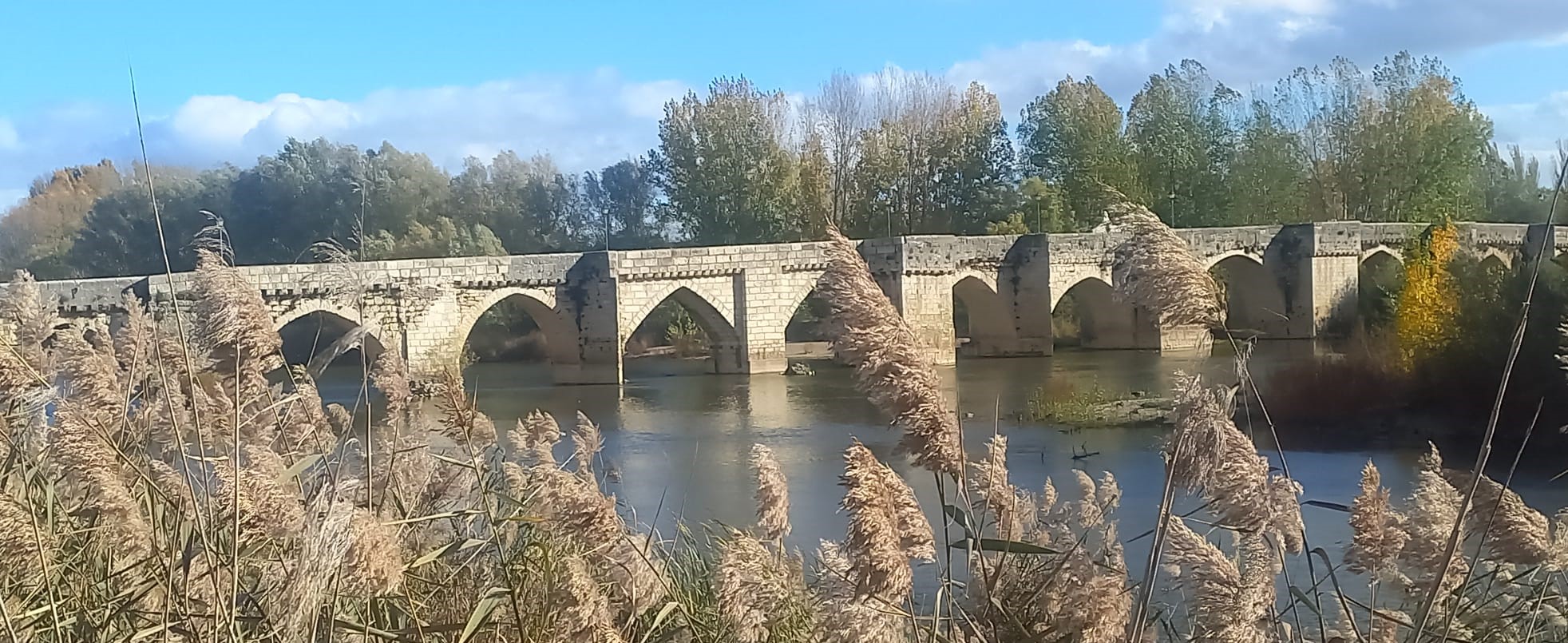 Puente medieval de Simancas,  sobre el Pisuerga, muy posiblemente rehecho sobre uno anterior romano que pasaría por la mansio de Septimanca. Foto del autor.