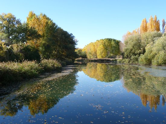 El río Pisuerga, otoño, en Herrera de Pisuerga